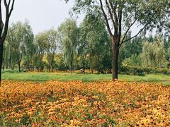 -东郊湿地公园