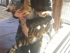 -昆明动物园