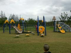 -上海长兴岛郊野公园