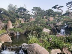 -罗红摄影艺术馆