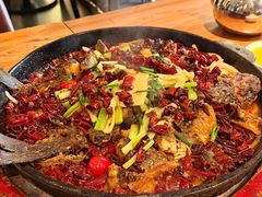 -老板恋上鱼(环山路店)