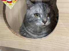 -派特宠物医院(海岸城店)