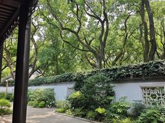 -上海醉白池公园