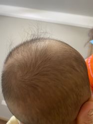 -小博士专业婴儿理发