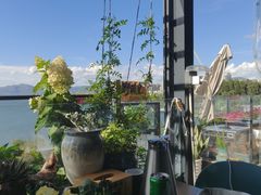 -野菌皇海景野生菌火锅(滨海大道店)