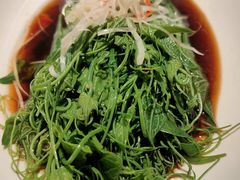 -初蓉丨遇见新川菜(亲贤街荣耀店)