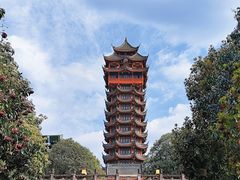 -塔子山公园