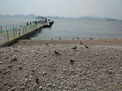 -海驴岛(荣成市)