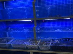 -威海渔村(静安旗舰店)