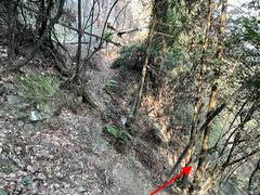 -南山植物园