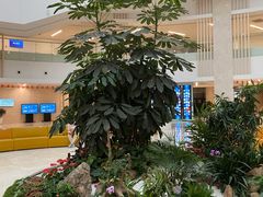-厦门市图书馆(集美新城馆区)