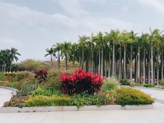 -深圳国际园林花卉博览园