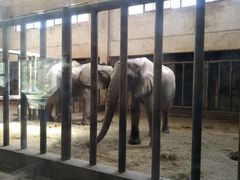 -石家庄市动物园