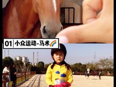 -松声马术俱乐部