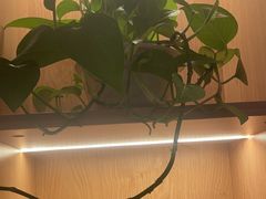 -和记小菜(名品店)