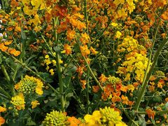 -中国天府农业博览园