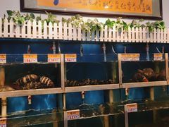 水产区-鑫悦楼煎蟹·16年海鲜大排档