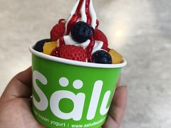 -Salud撒露欧洲冻酸奶(北苑上品店)