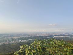 -紫金山山顶公园
