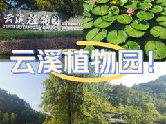 -云溪植物园
