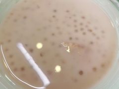 -钟姨糖水(惠城店)