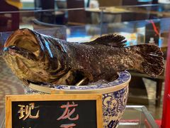 -杭州国际会议中心洲际酒店-原素全日餐厅(解放东路店)