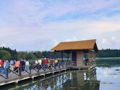 -溱湖国家湿地公园