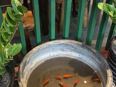 -大海碗·京菜炸酱面(雍和宫店)