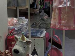 -西安电影制片厂