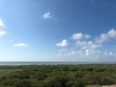 -北海金海湾红树林生态旅游区