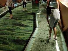 -青藏高原自然博物馆