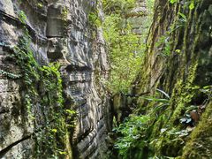 -梭布垭石林景区