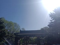 -北陵公园
