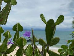 -三亚西岛海洋文化旅游区