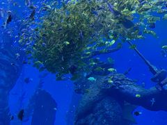 -波塞冬旅游度假区