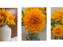 -左庭右院鲜牛肉火锅(苏州园区永旺店)