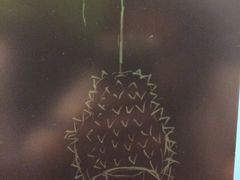 -MUSANG KING猫山王(龙湖杭州滨江天街店)