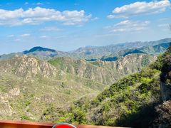 -大岭沟猕猴桃谷风景区