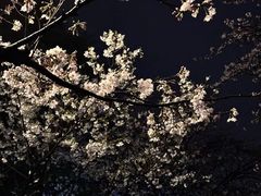 -鸡鸣寺
