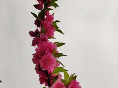 -西湖公园(鼓楼区)