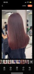-潘多拉Hairsalon