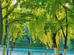 -天鹅湖体育公园