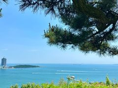 -青岛海滨风景区小鱼山
