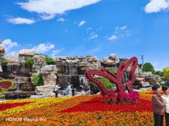 -石家庄市植物园