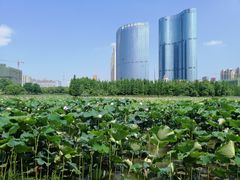 -艾溪湖湿地公园