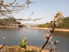 -广州市流溪河国家森林公园