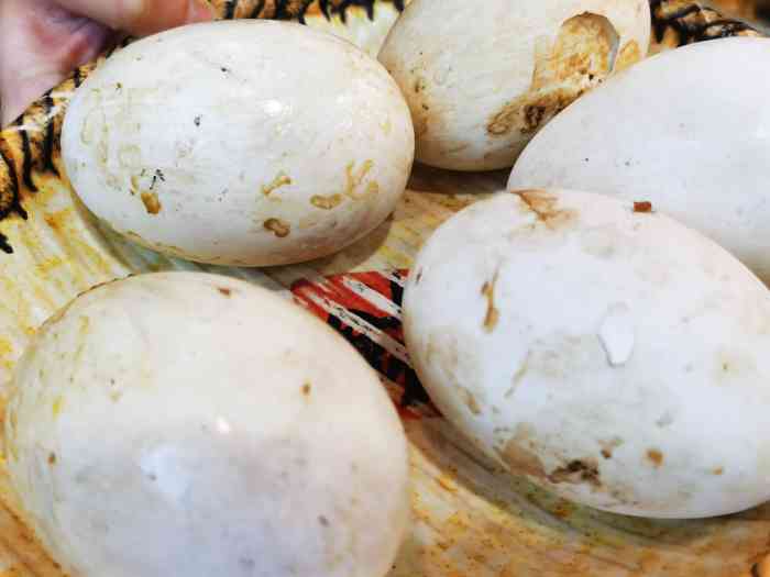 柴大叔土窑坑烤(磐石路店)-"带邻居家的妹子一起去的,感觉就是量忒大