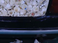 -先锋羽毛球馆