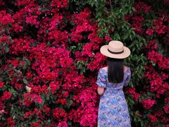 -厦门国家会计学院