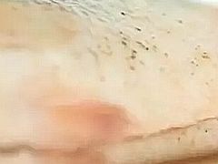 -江东鲈鱼馆(正江东)